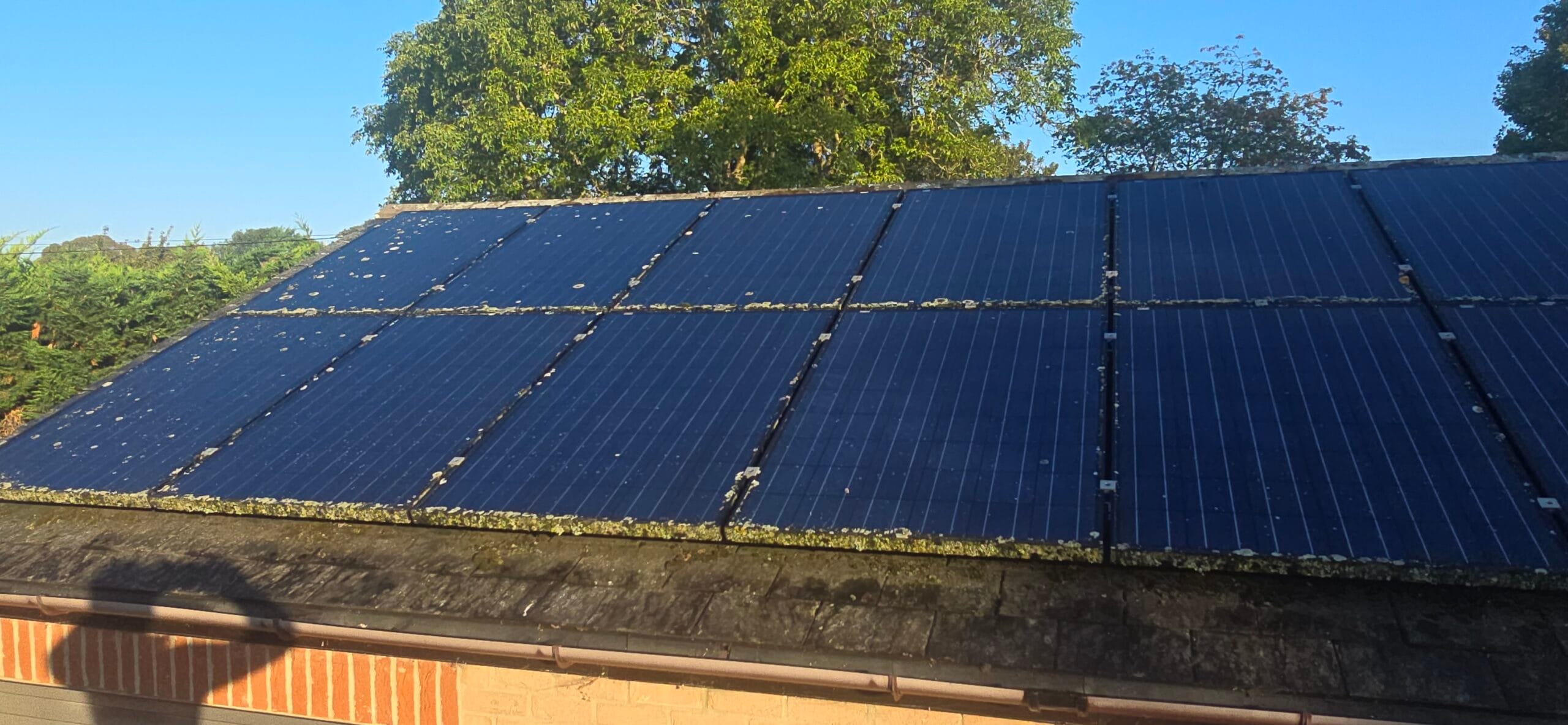 Solar panels before cleaning with established lichen